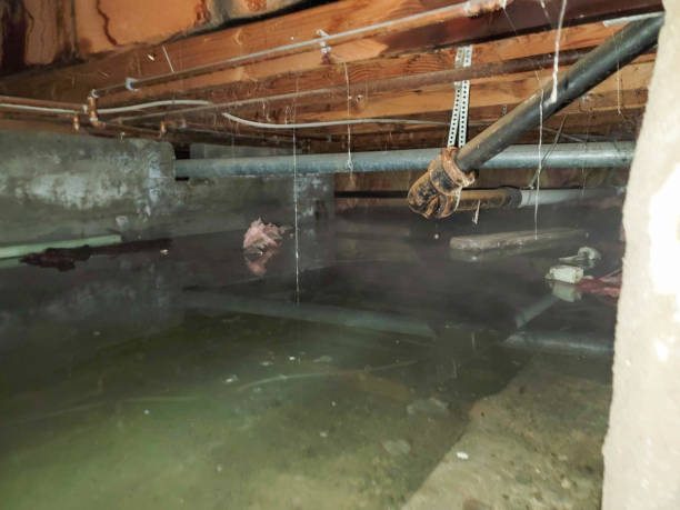 Local water damage restoration in Leominster, MA