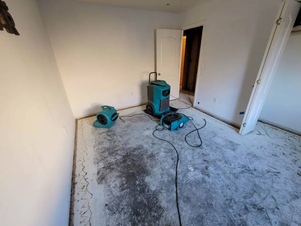 Best Professional water damage repair  in Leominster, MA