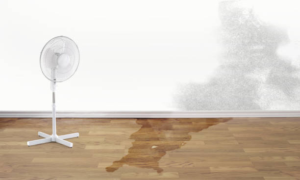 Best Local water damage restoration  in Leominster, MA