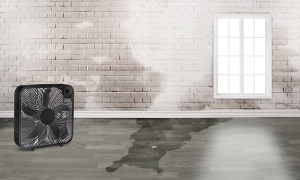 Best Water damage restoration company  in Leominster, MA