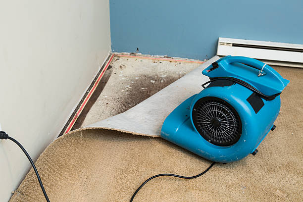 Reliable Leominster, MA Water damage restoration Solutions